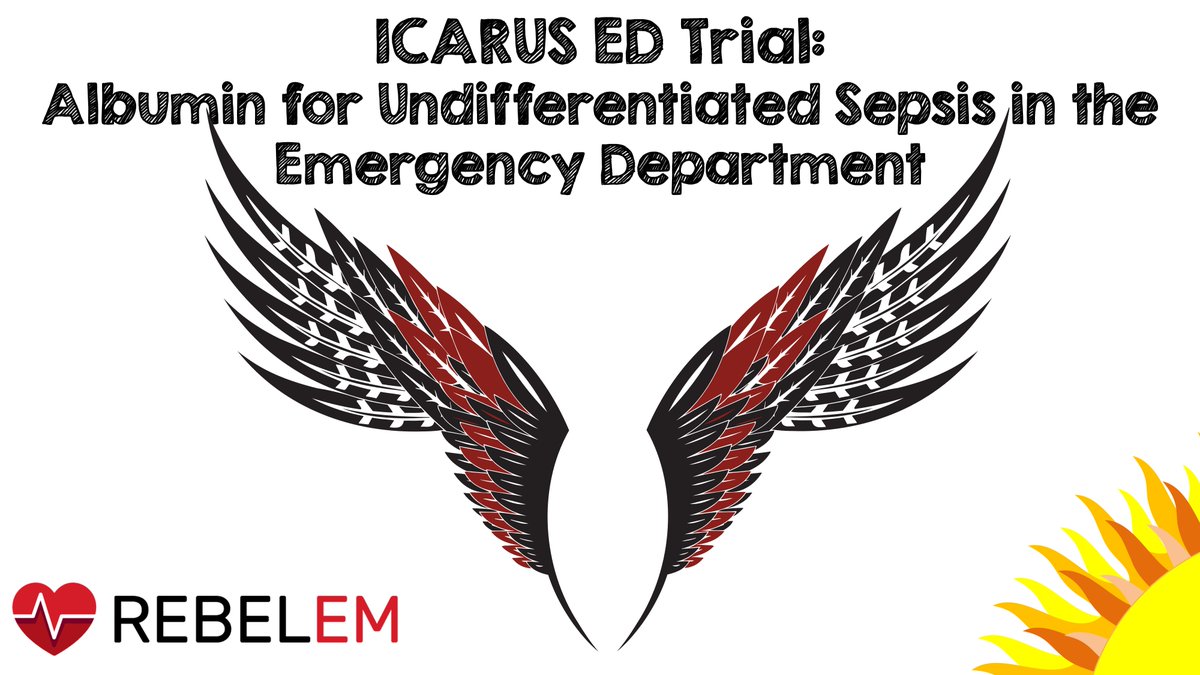 REBEL EM tweet media