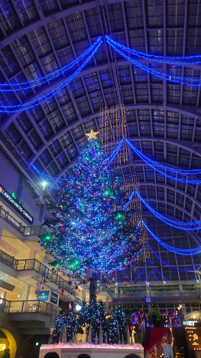 今夜は アキオカマサコ さんのライブ クリスマスツリー🎄の