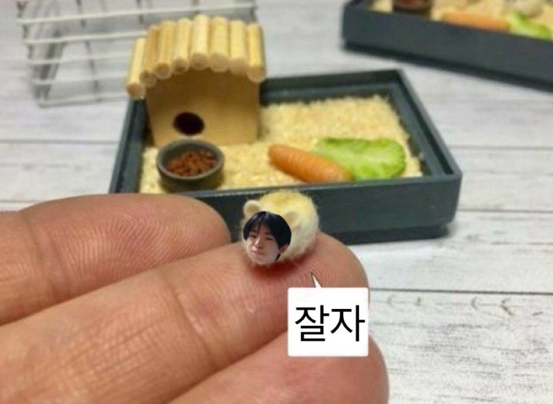 띠룽이💟 tweet media