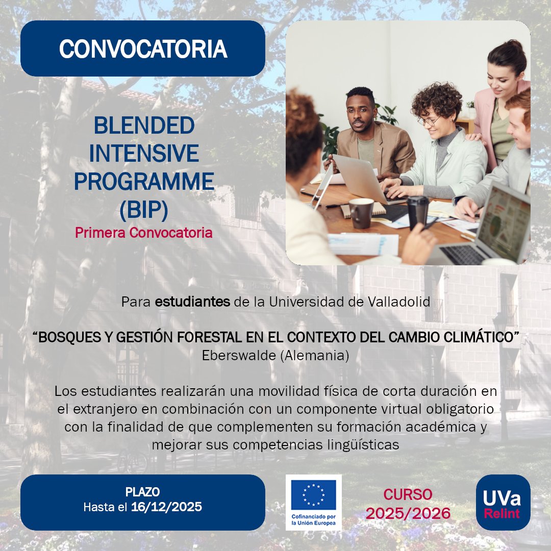 Disponible la Primera Convocatoria del BIP (Blended Intensive Programme) “Bosques y gestión forestal en el contexto del cambio climático” del SEPIE para Estudiantes de la UVa en Eberswalde (Alemania)

ℹ️ tinyurl.com/BIPs-CDs

📅 Hasta el 16/12/2025

<a href="/UVa_es/">Gabinete de Comunicación Universidad de Valladolid</a>
<a href="/sepiegob/">SEPIE</a>