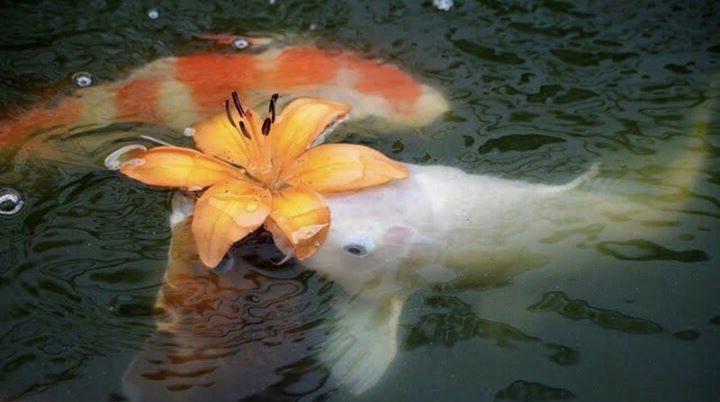 gal౨ৎ (@prtygal777) on Twitter photo 