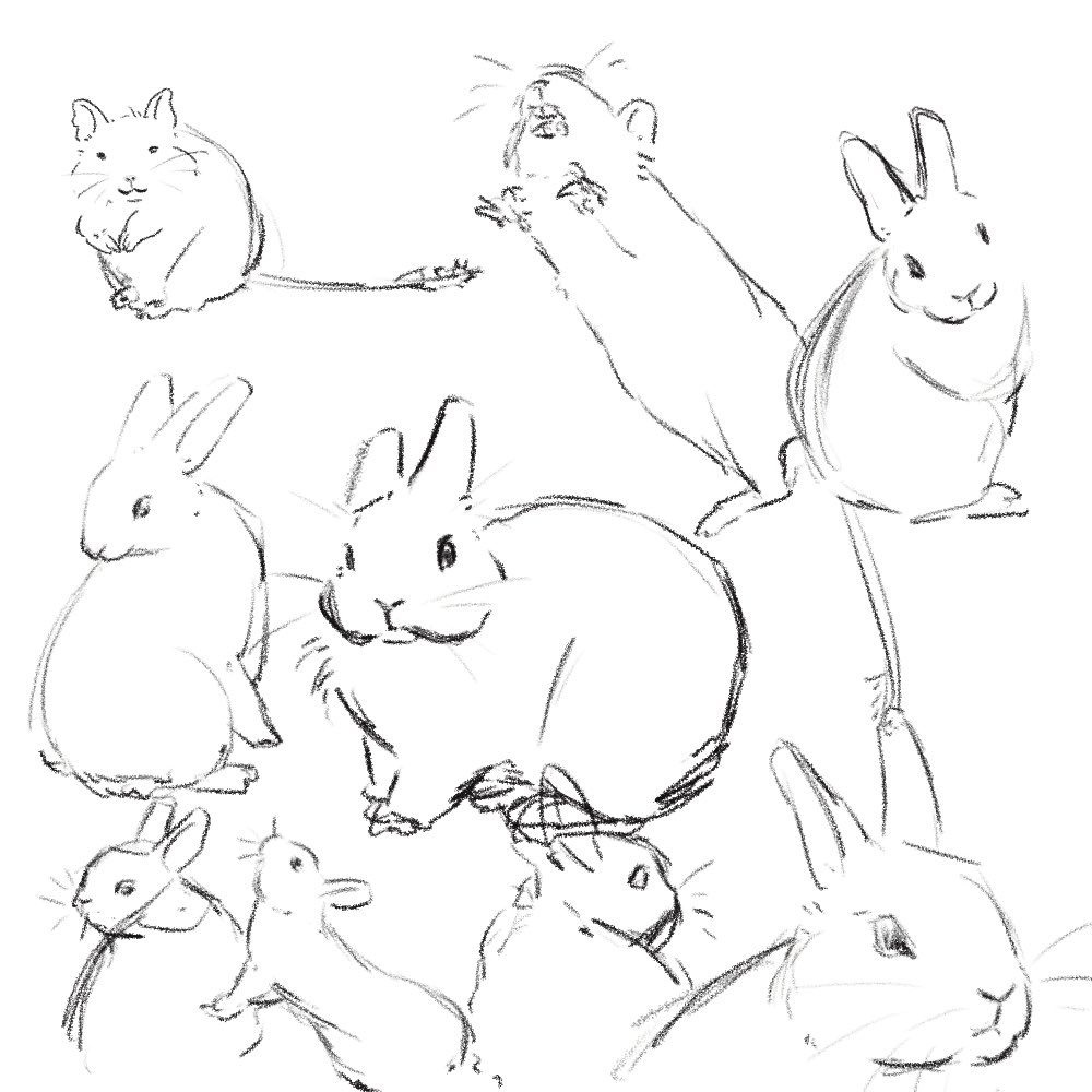 リハビリうさぎ落書きとおまけのデグー