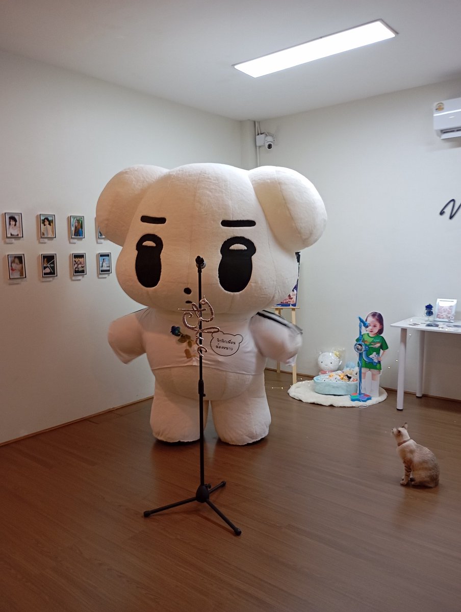 WINTER THAILAND tweet media