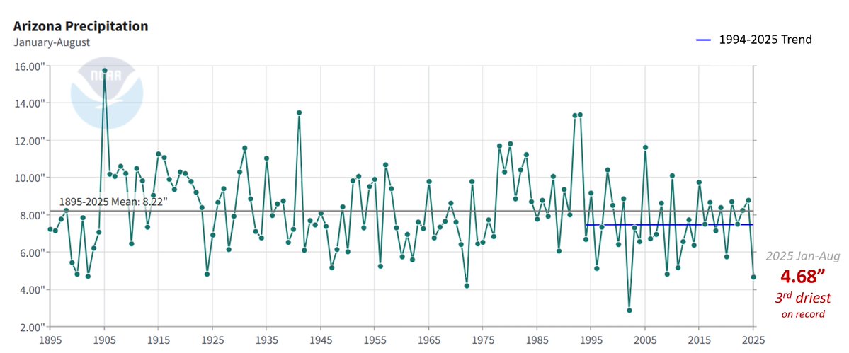 For Arizona, we're thrilled that Sep-Nov looks to be the 9th wettest Fall on record statewide. 🥳

AZ had a really dry start to 2025, and Jan-Aug was the 3rd driest on record. Even with a wet Sep-Nov, 2025 is still landing in drier years (lowest 33% to date).  
#azwx