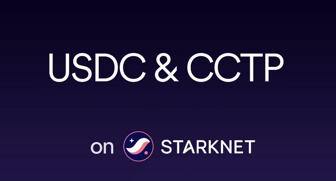 Starknet Africa 🌍 tweet media