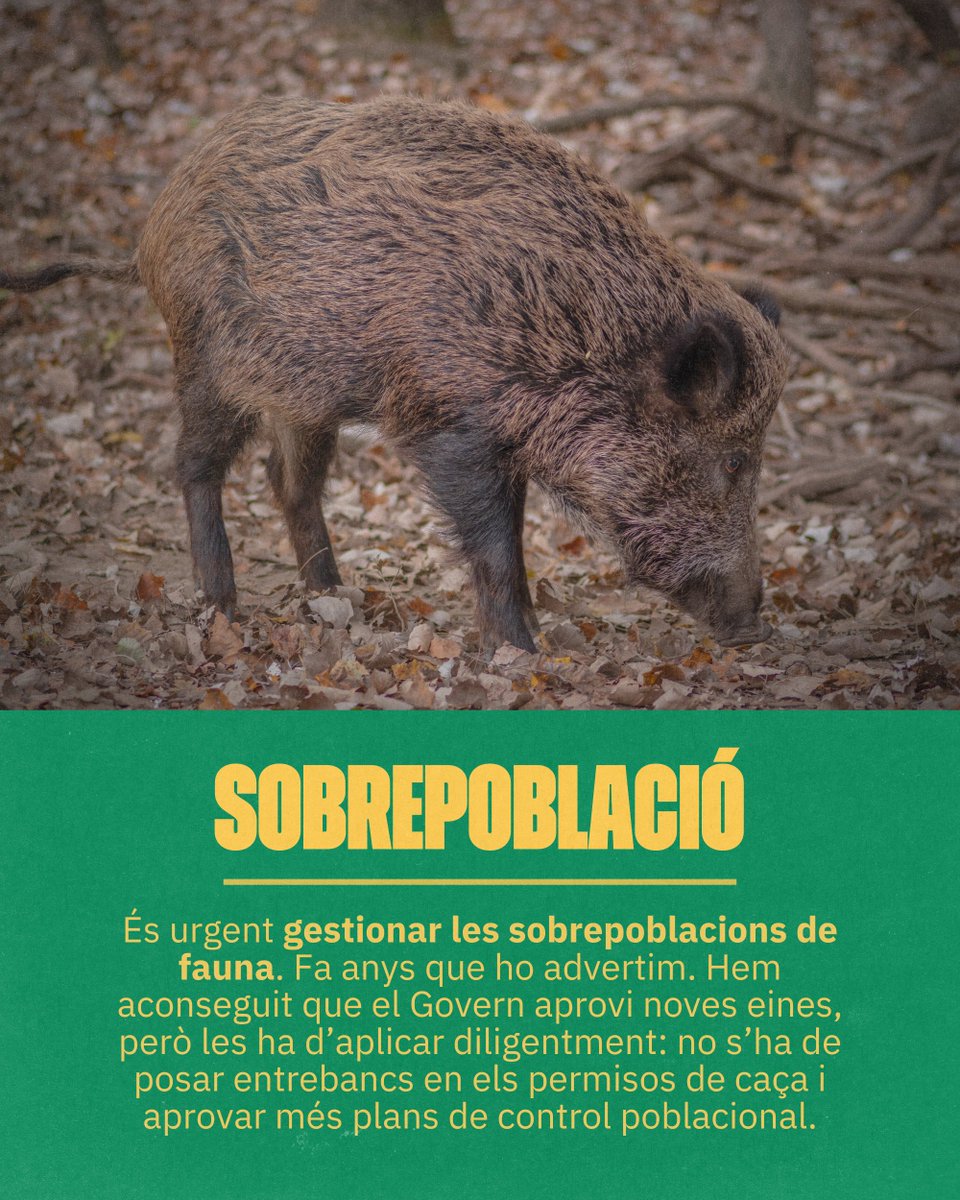 Unió de Pagesos tweet media