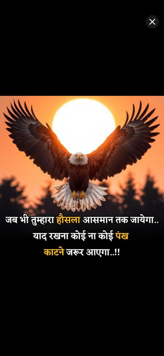 Postman5001 tweet media