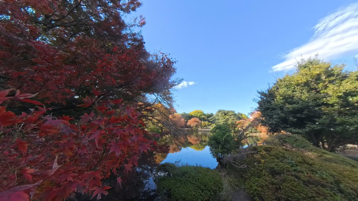 totyzo_desuyo_'s tweet image. 🍁 Shinjuku Gyoen, Tokyo

A peaceful escape right in the heart of the city. Shinjuku Gyoen blends Japanese, English, and French garden styles, making it perfect for slow walks and seasonal colors. The red and yellow leaves turn the whole park into a calm, photogenic oasis.