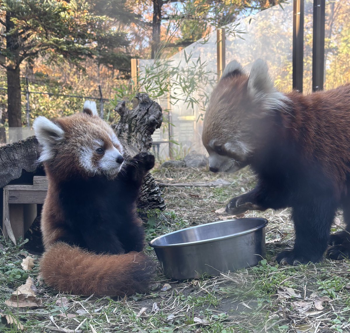 みう (@miu042813) / Posts and Replies / X