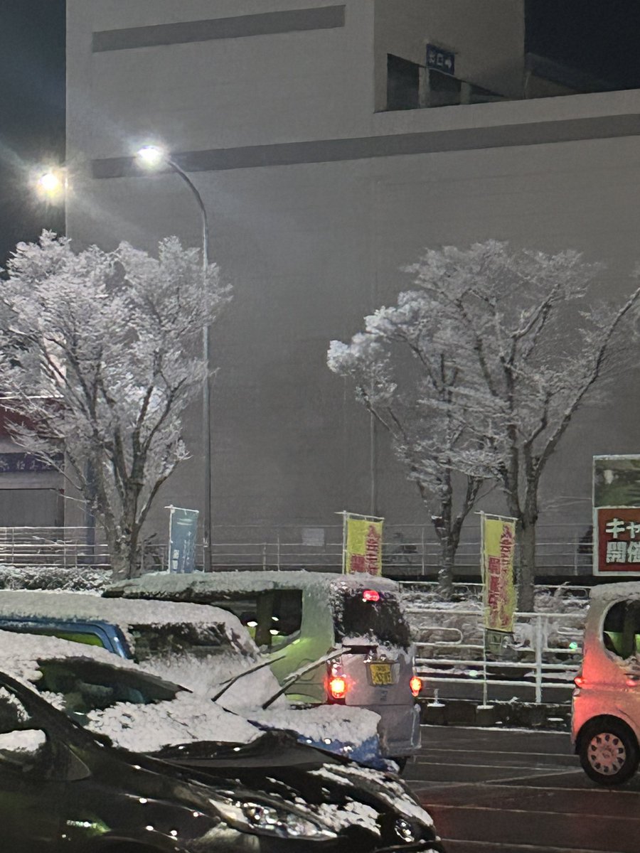 raccons_0's tweet photo. @raccoons_75__ 雪だね https://t.co/CfhaLrkxM7