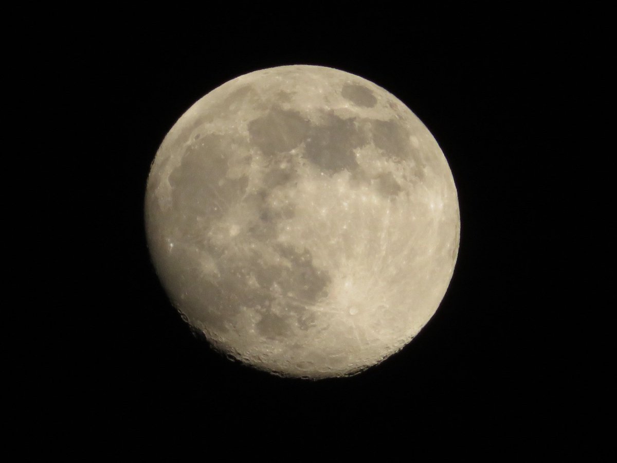 雲の隙間から月が顔を出してくれました。
2025年最後の満月は12/5です。
満ちゆく月をお楽しみください🌕