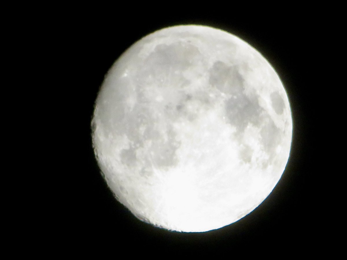 「今宵の月」(ころころ🐼継承)

その姿は加速して満月に向かっています
明後日5日の12月の満月コールドムーンへ
月に📷を向けたら空からはポッポッと細かい雨☂️が😳
低気圧の通過でこの冬一番の寒気が…
「天気雨☂️」の珍しいシュチュエーションに見舞われました

2025.12.03PM10:00埼玉県某所にて撮影
