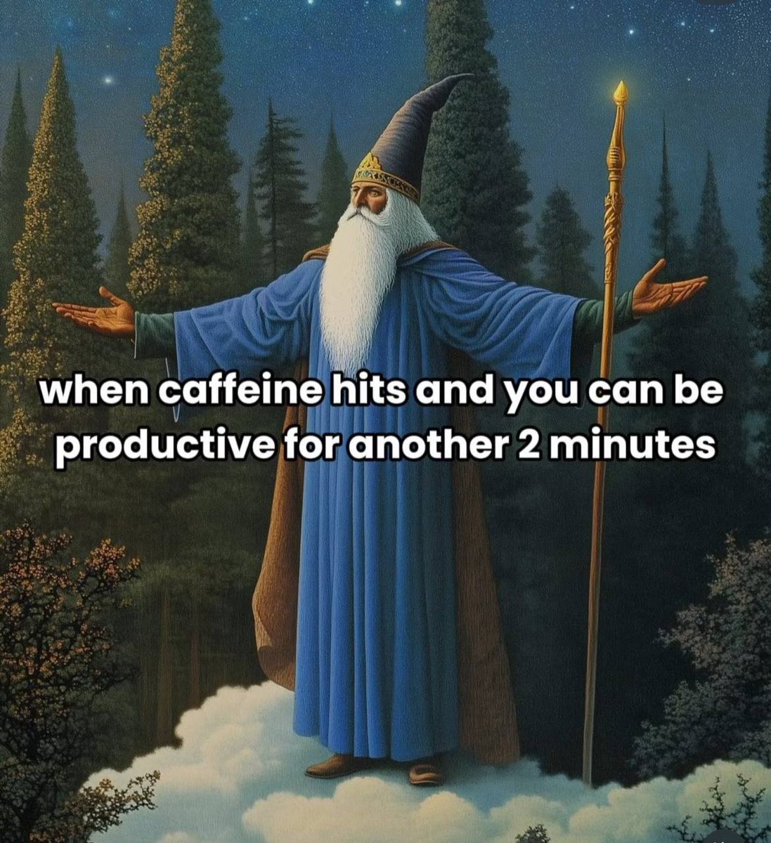 wizardgang's tweet image. 