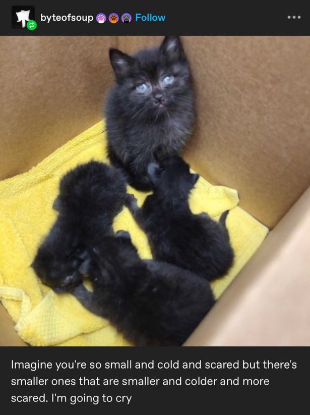 r4z0rwh1p's tweet image. this is so hiccup idk