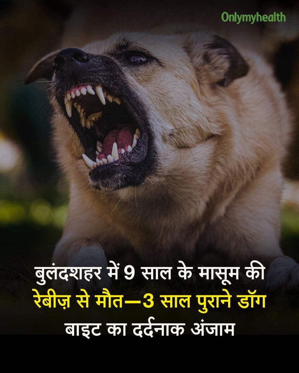 JahnaviIyer's tweet image. amarujala.com/uttar-pradesh/… 
A 9 year old alleged “rabies death” was turned into headlines, but the editor has zero evidence to back the claim. No paperwork, no hospital confirmation, nothing.
Is this journalism or manufactured fear to push a narrative? #WrongReporting #FakeNarrative