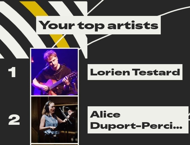 Every Expedition 33 Fan's spotify wrapped this year: