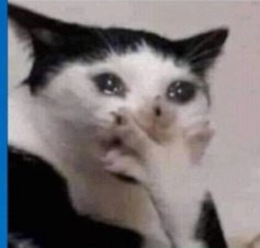 Ya salio el #SpotifyWrapped y también el de #Tidal