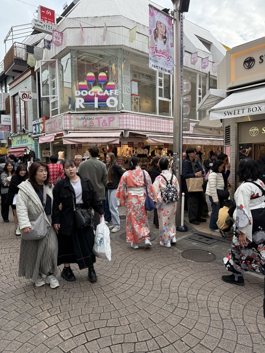 Kensington Hypnosis tweet media