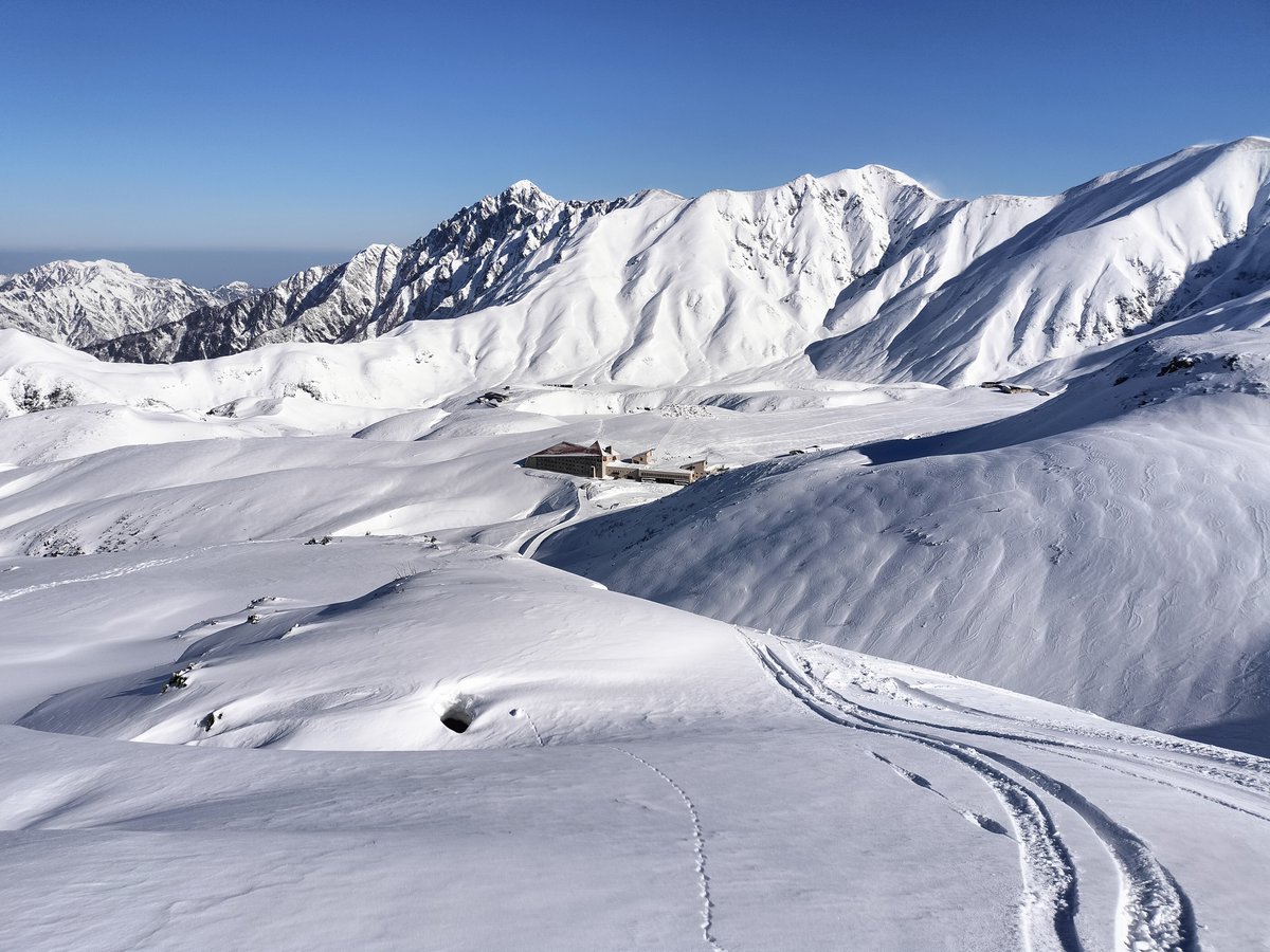 伊之助 tweet media