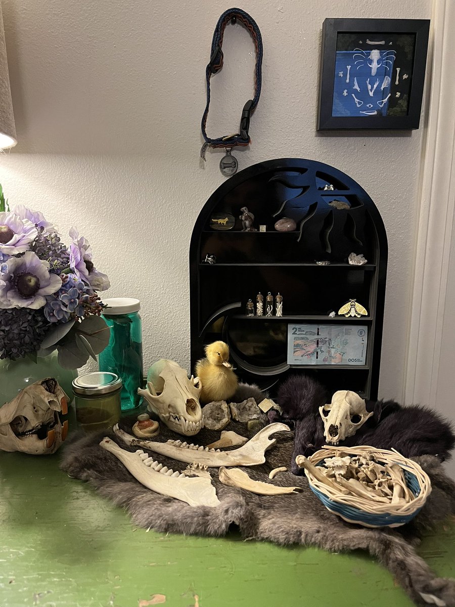 ⊝💚 RIV 💚⊝ tweet media