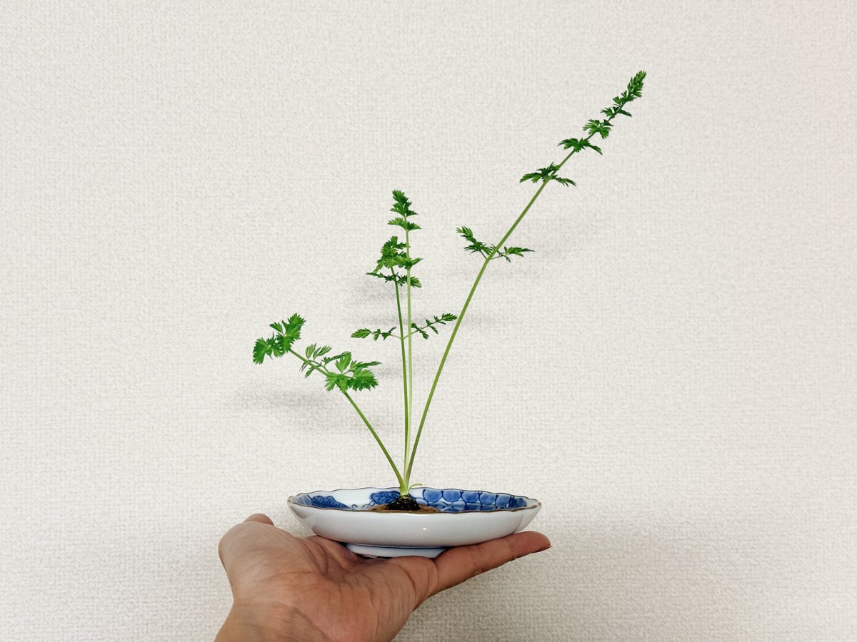 ゆっこ🐭ねずみの雑貨屋CLOVER🍀 (@nezumi3illust) / Posts / X