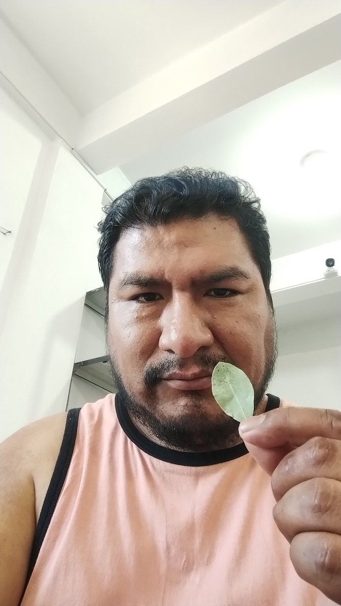 RENATUS_NFTCLUB's tweet photo. La hoja sagrada👌sabes Loque es
Si lo tokenizamos??
#pumpfun #Criptomonedas #token #Solana @Pumpfun @solana https://t.co/p2FPTHmNoZ