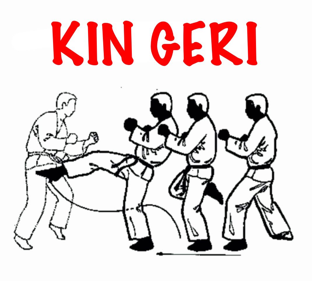 SokeAnshu's tweet image. ⛩️ Geri Waza | Kicking Techniques 
.
#Kenpo #Kempo #Karate #MartialArts #SelfDefense