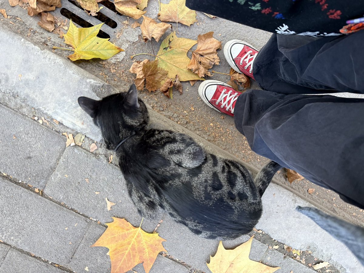 在阴曹地府的人妻 tweet media