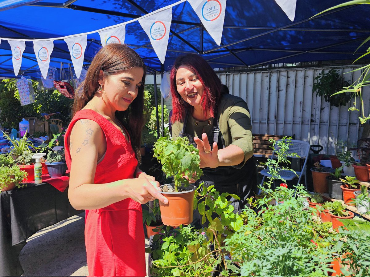 Delegación Presidencial Provincial de Talagante🏛 tweet media