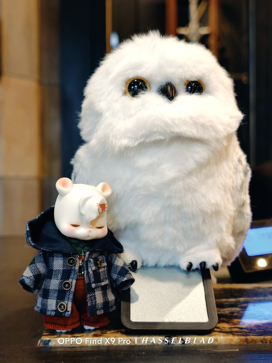 UNIVERSAL BEIJING RESORT

#kumukuku 
#쿠무쿠쿠 
#クムクク