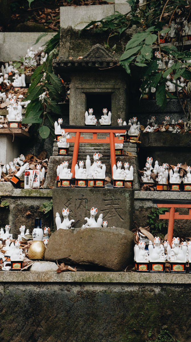В Камакуро есть очень атмосферное святилище: Sasuke Inari Shrine. Такая мини версия святилища Фусими Инари в Киото, но зато очень много чудесных керамических лисиц!