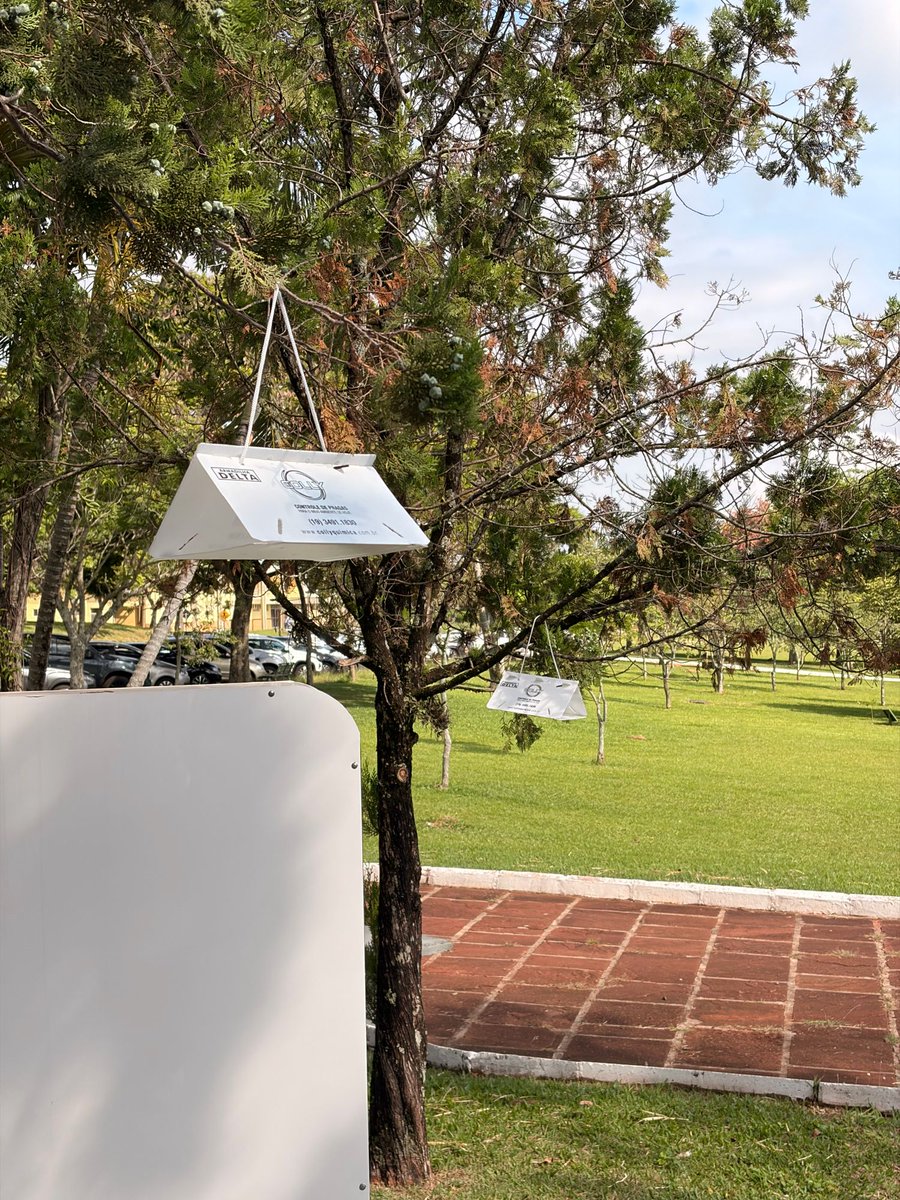 Norman van Rhijn tweet media