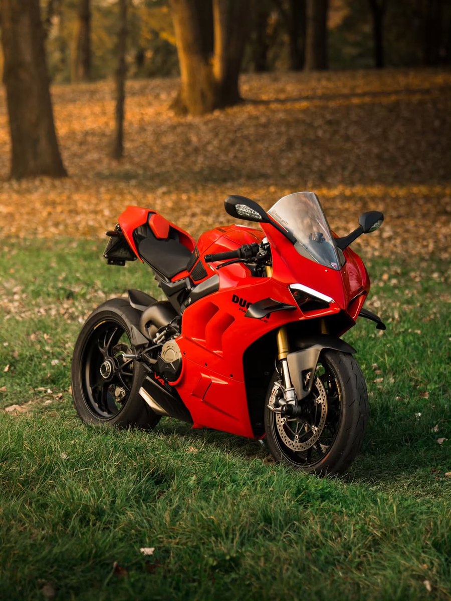 MdArman63129818's tweet image. The direction the wind takes me, and the place my heart wants to go
The roar of the engine is my favourite language
The moment I get on my bike, the whole world becomes clearer
#MotorcycleLife #FreeRider #TwoWheelsLife #SpeedAndPassion #MotoGirl