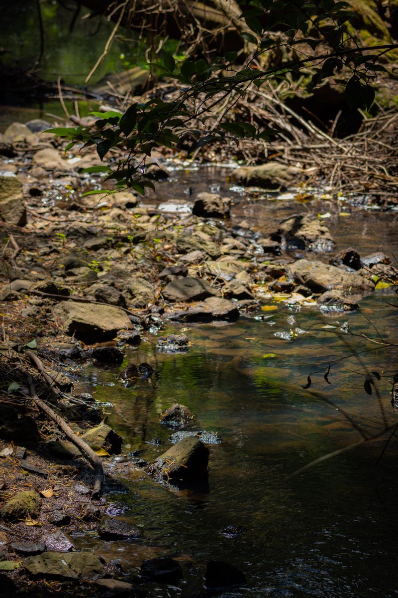 Трогаем камушки, гладим водичку.