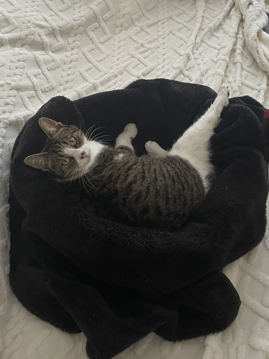 Namsu 🕯 tweet media