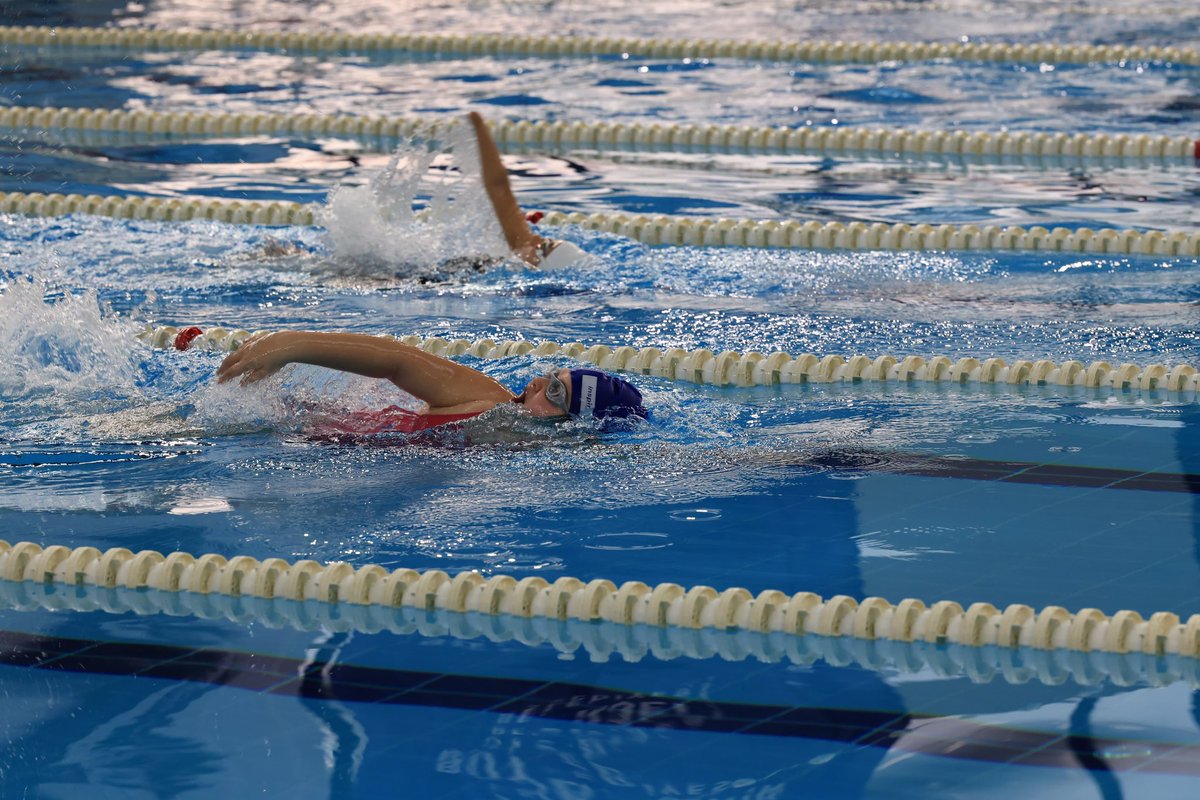 Istanbul Metropolitan Municipality tweet media