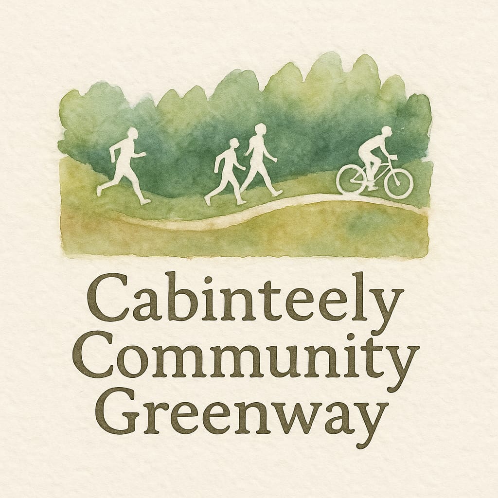 Living Streets Dun Laoghaire tweet media