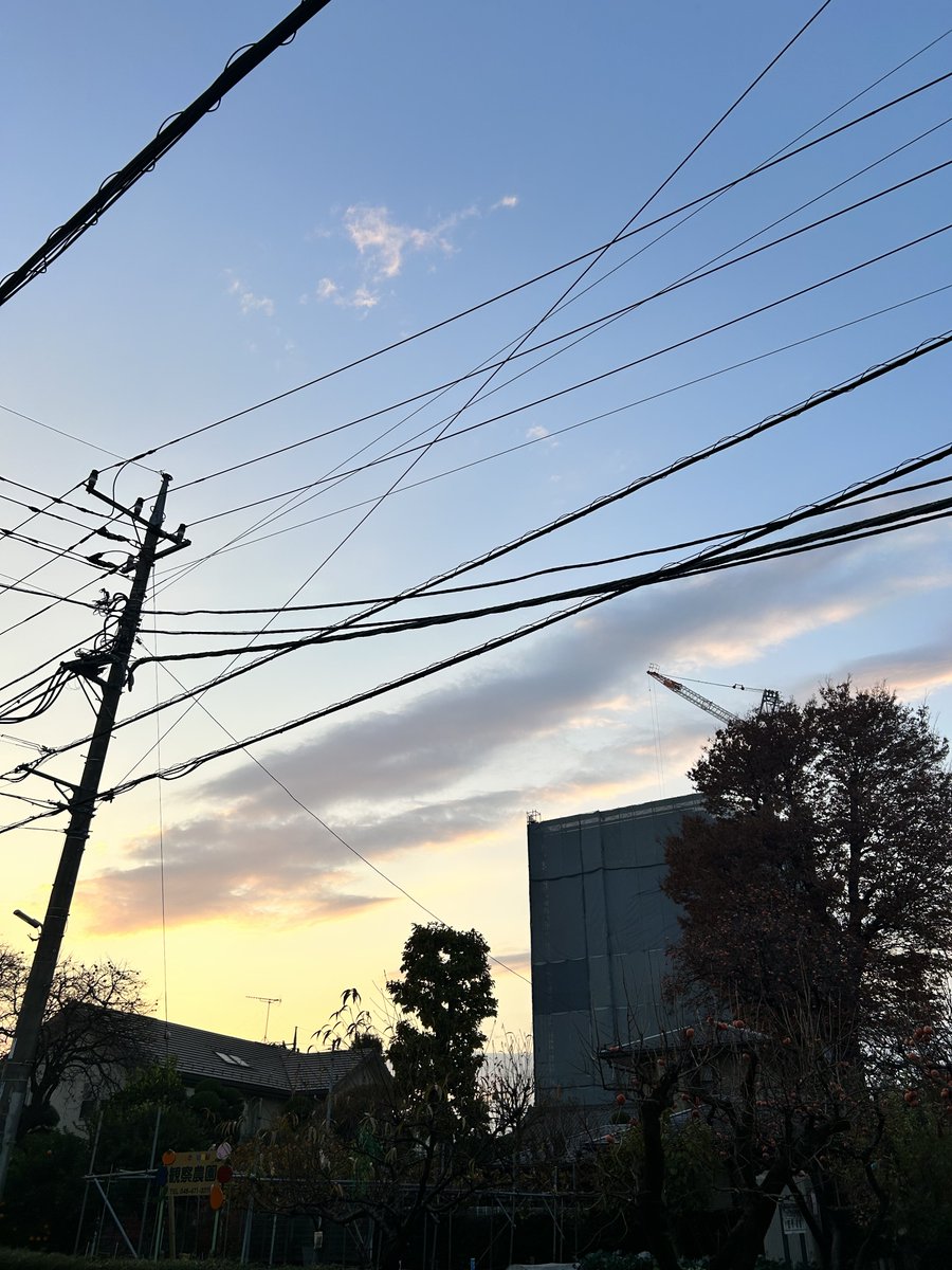 siontt's tweet photo. ふと見上げた空🌆

#たまたま https://t.co/SW8Z76ZzQj