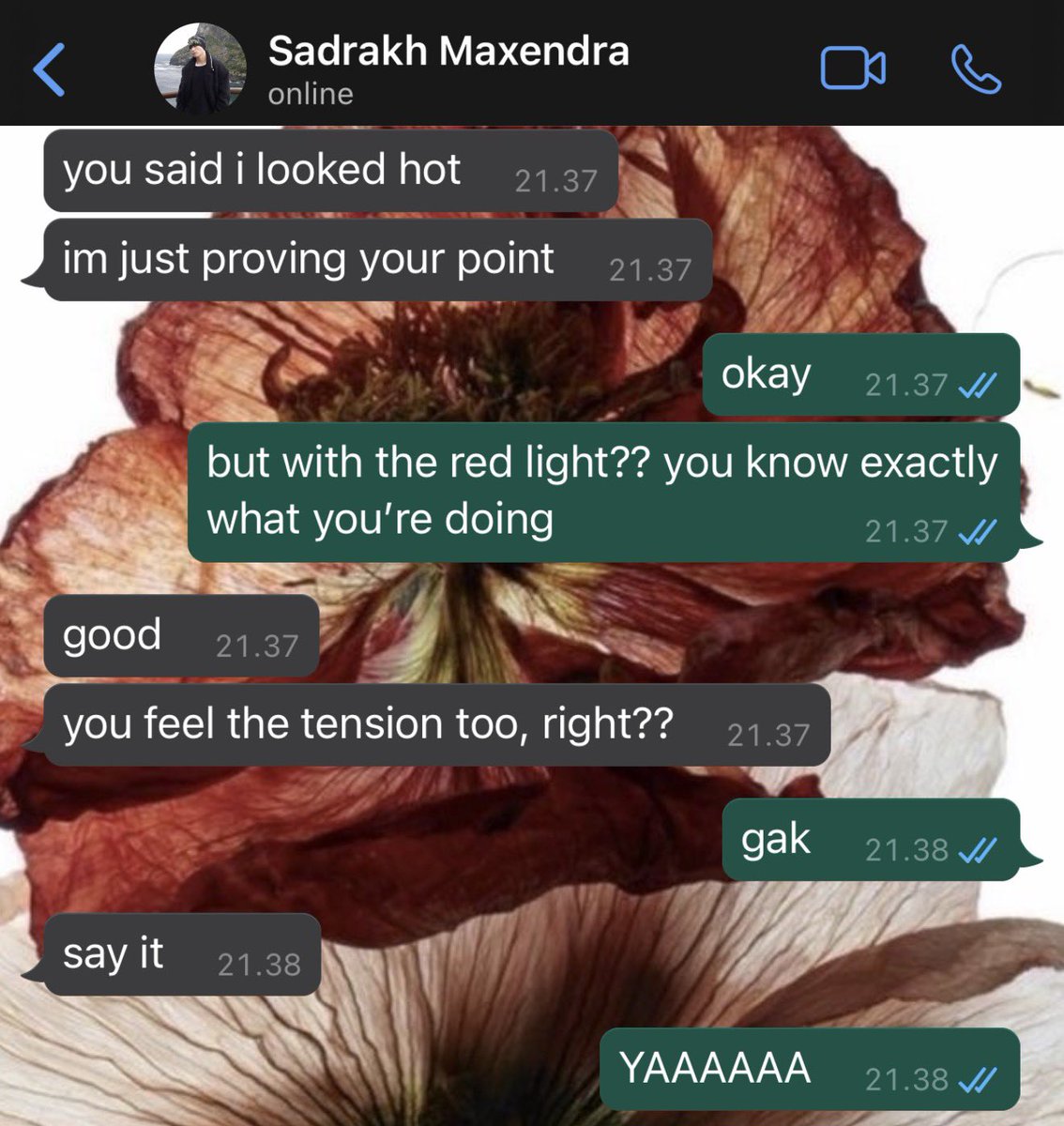 ocyeanic tweet media