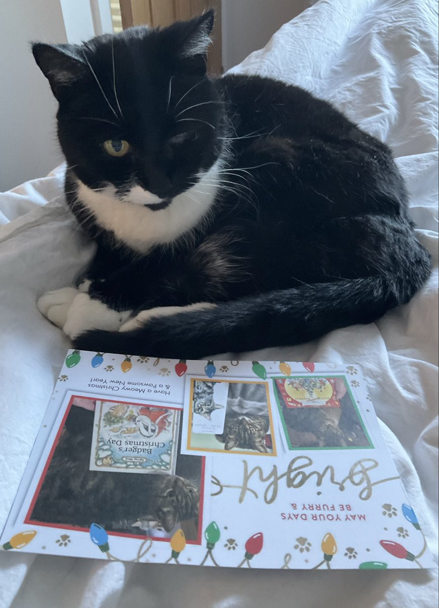 Tinkerbell (@Cat_In_Charge) / Posts / X
