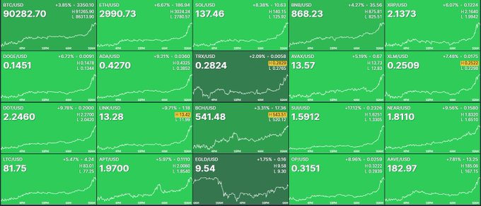 ToeNft's tweet image. 