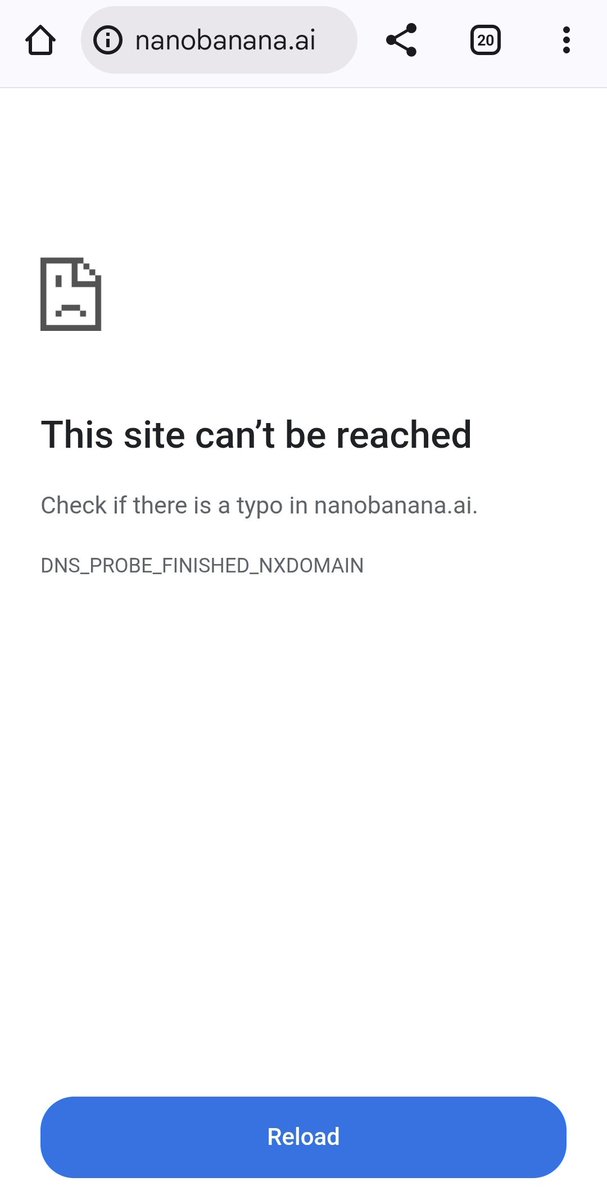 Aly^^ 🏖✈️🏘 tweet media