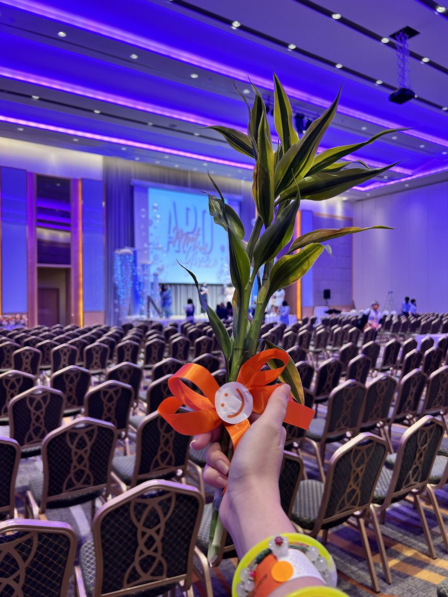 _LunaAinsworth_'s tweet image. Mine has grown this much 🥹 nong still keeps the same orange bow like before