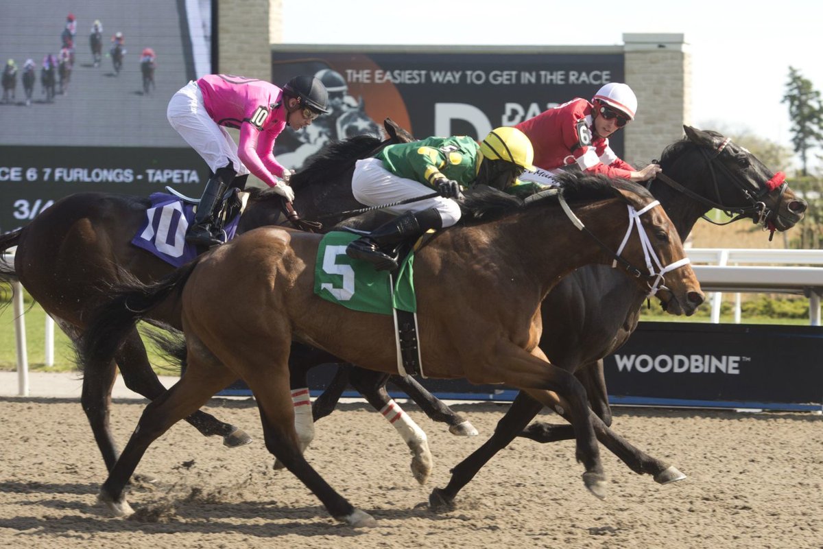 Jockey Ryan Munger bit.ly/3BjVLum is a former top-10 rider in South Africa and a champion in Zimbabwe, now riding full-time at Woodbine Racetrack in Canada. Follow his journey and view his profile on Jockey’s Canada.
#JockeysCanada #Jockeys #Horseracing