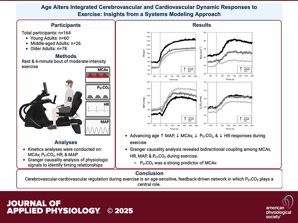 japplphysiol's tweet photo. Research Article by @Sandy_REACHLab et al. (@briabartsch @KUMedCenter @UW) #Age alters integrated #cerebrovascular and #cardiovascular dynamic responses to #exercise: insights from a #systemsmodeling approach
https://t.co/eUPAw9gsaj https://t.co/Hn5s2N85FC