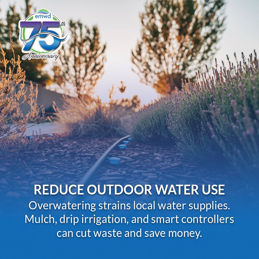 Get your yard winter-ready! Plant natives, clear invasives, cut outdoor water use, and compost leaves. 🌿

Need help? EMWD offers FREE landscape evaluations. Sign up at save.emwd.org