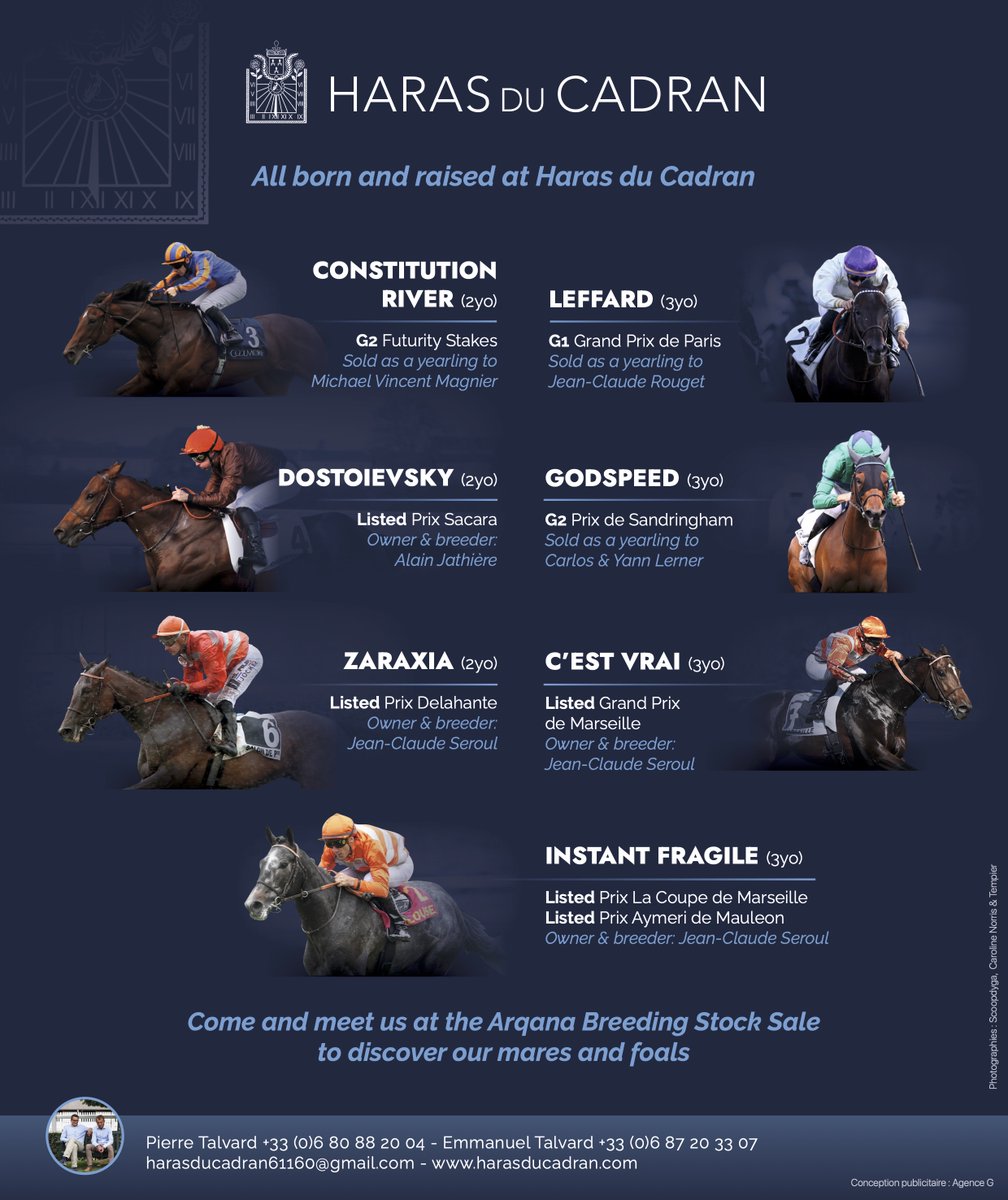 HARAS DU CADRAN tweet media