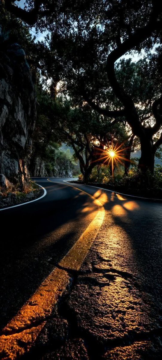 وَتَدعو أنْ لا يَكون طَريقك وَعِرًا؛ لتَّنجو، 
فيكون وَعِرًا،
وتَنجو!
لتَعلمْ أَنَّ النَّجاةَ مِن الله، لا مِنْ الطَّريق.
#نهاركم_سعيد_وطيب 
#صباح_الخيرᅠ