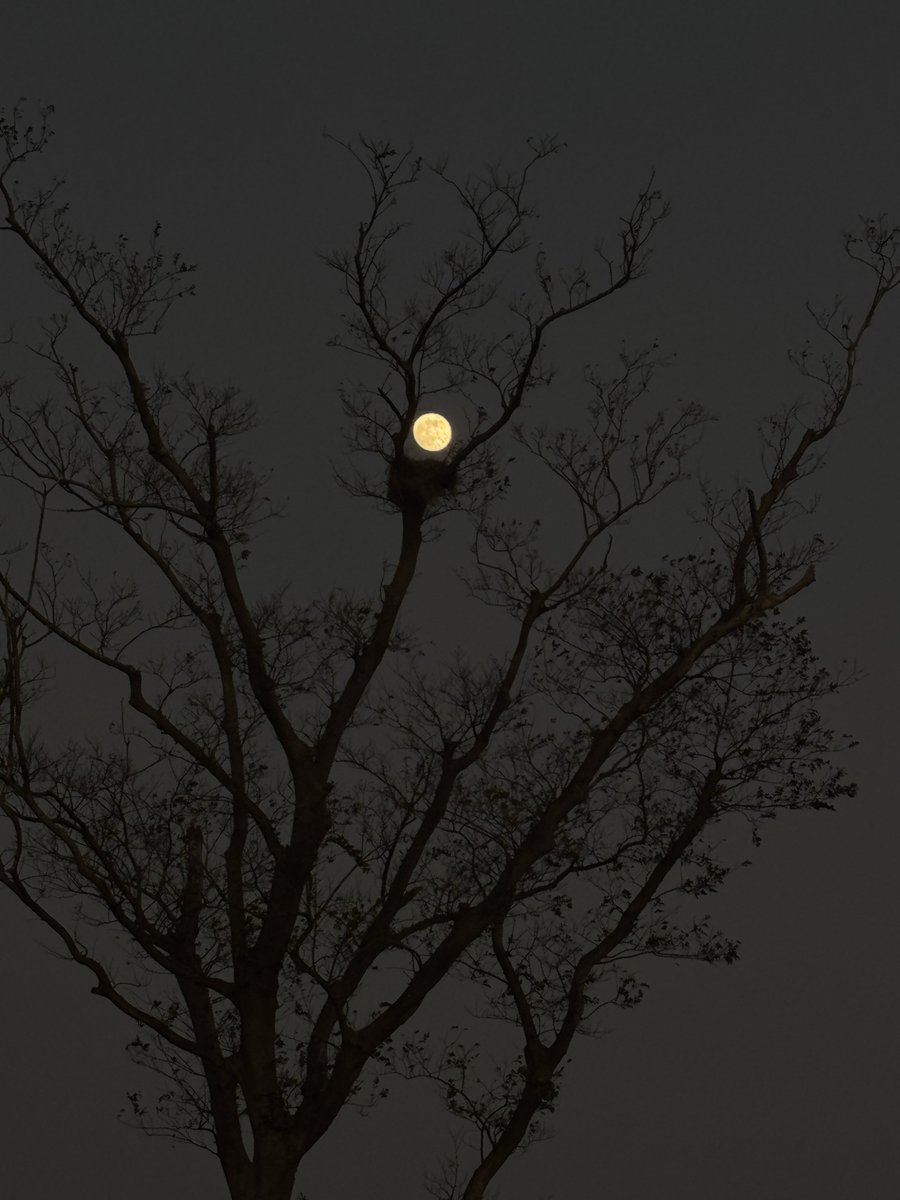 缺失主角的故事