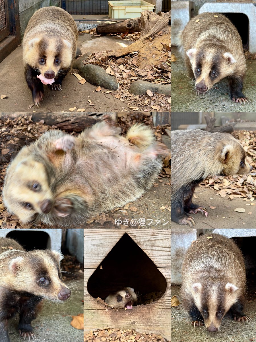 maruページ マルゼン|MREY-06|電気ゆで麺機|麺釜|厨房機器・熱機器 | 業務用厨房